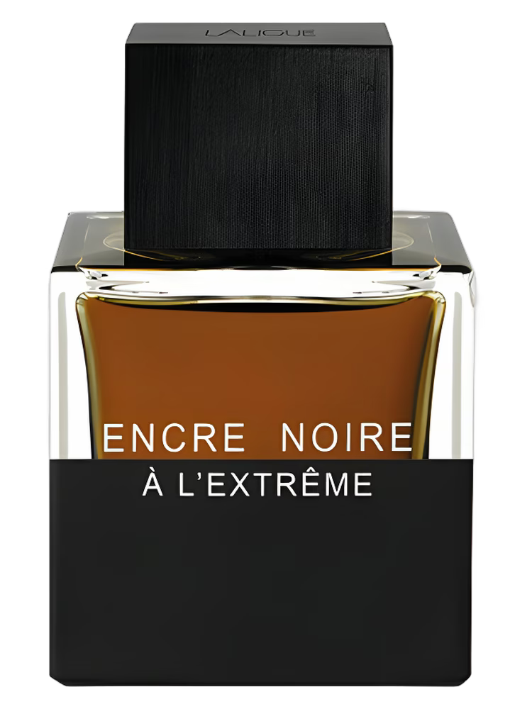 Lalique Encre Noire A L'Extreme